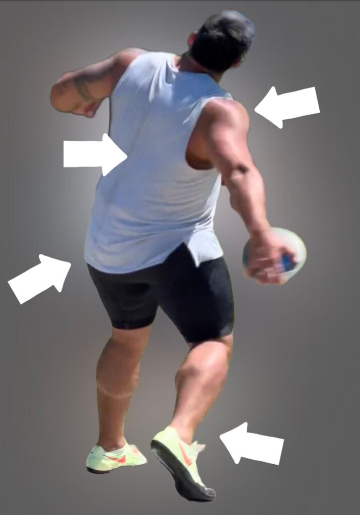 Image highlighting the 4 areas we are targeting for throwers mobility